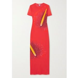 Loewe Anthurium Floral-Print Stretch-Mesh Maxi Dress